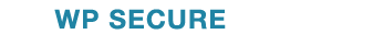 WP SECURE SUPPORT